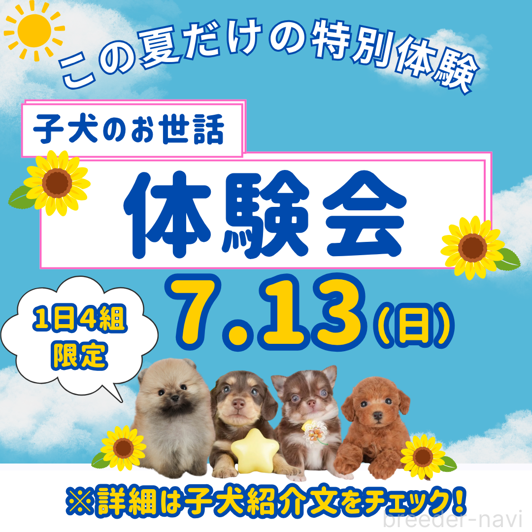 勝間大輝ブリーダー